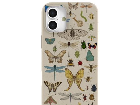 London Fog Invertebrates iPhone 16 Plus Case Fashion