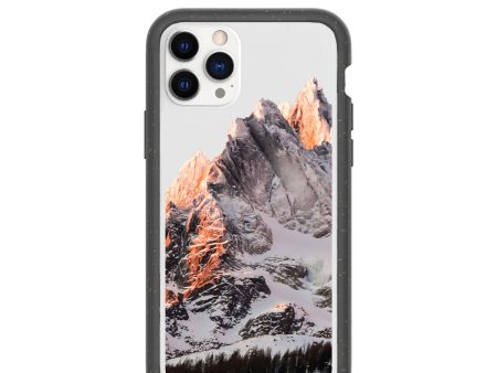 Clear Alps iPhone 11 Pro Case With Black Ridge Online Hot Sale