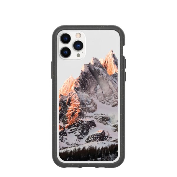 Clear Alps iPhone 11 Pro Case With Black Ridge Online Hot Sale