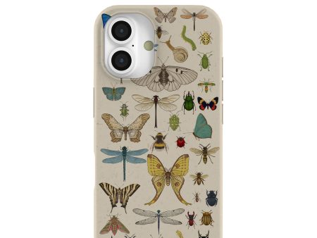 London Fog Invertebrates iPhone 16 Case Cheap