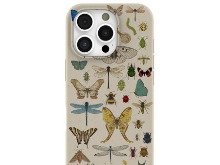 London Fog Invertebrates iPhone 16 Pro Case For Sale