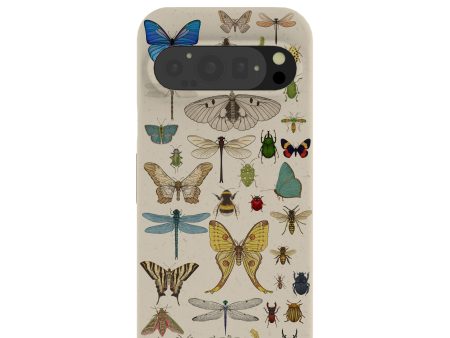 London Fog Invertebrates Google Pixel 9 9 Pro Case For Cheap