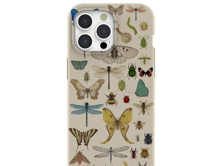 London Fog Invertebrates iPhone 15 Pro Max Case Hot on Sale