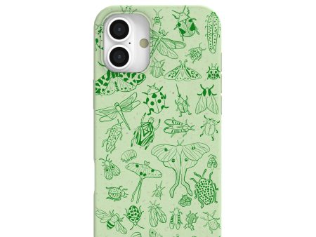 Sage Green Linear Entomology iPhone 16 Plus Case Hot on Sale